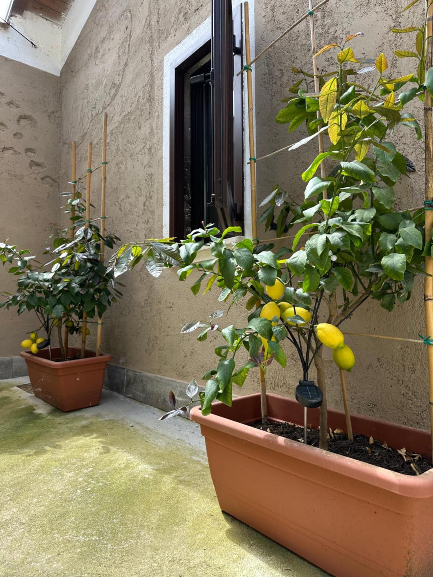 B&B La Corte Puegnago Dış mekan fotoğraf